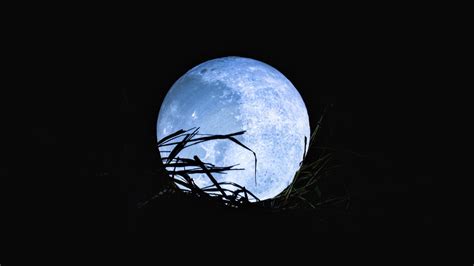 Astrological Insights into the Blue Moon Phenomenon